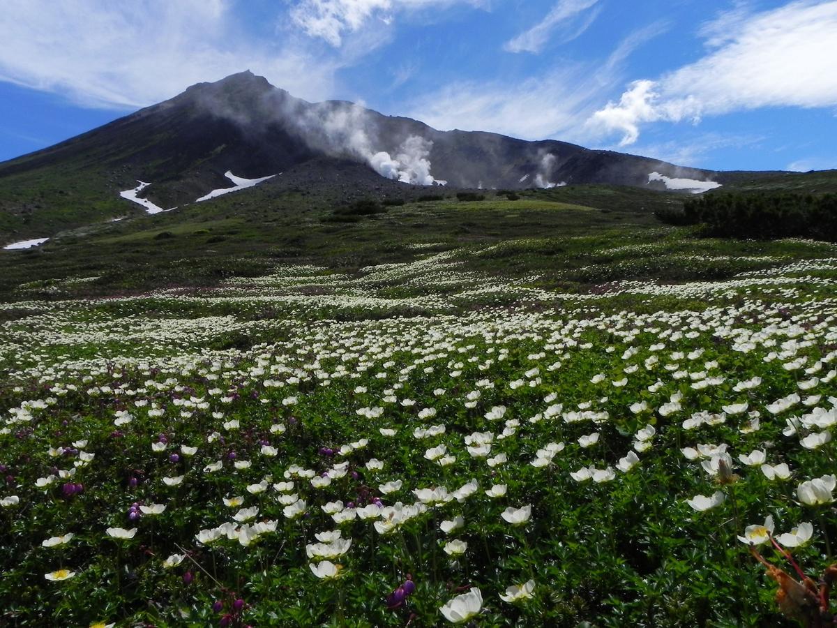 Asahidake Onsen Hotel Deer Valley Higashikawa Экстерьер фото